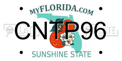 CNTP96 Florida License Plate
