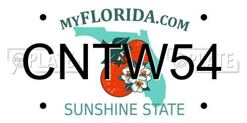 CNTW54 Florida License Plate