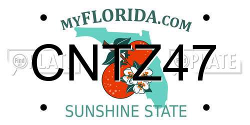 CNTZ47 Florida License Plate
