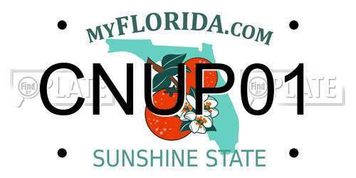CNUP01 Florida License Plate