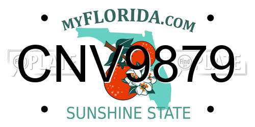 CNV9879 Florida License Plate