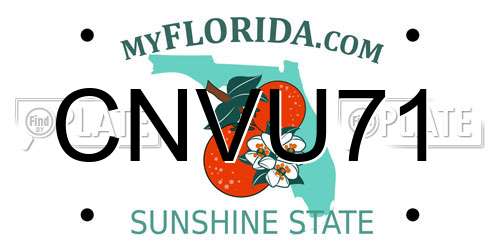 CNVU71 Florida License Plate