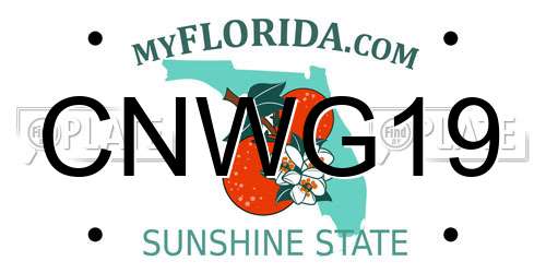CNWG19 Florida License Plate