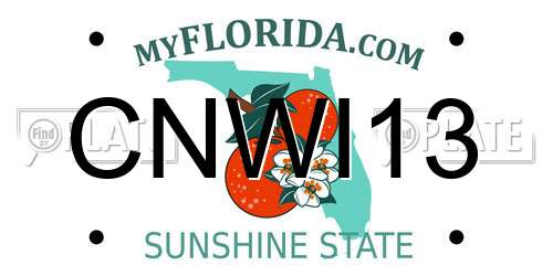 CNWI13 Florida License Plate