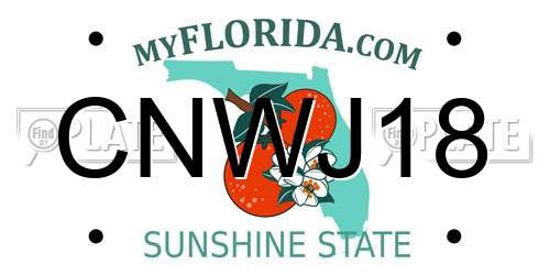 CNWJ18 Florida License Plate