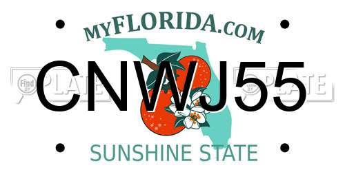 CNWJ55 Florida License Plate