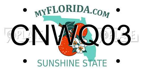 CNWQ03 Florida License Plate