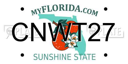 CNWT27 Florida License Plate