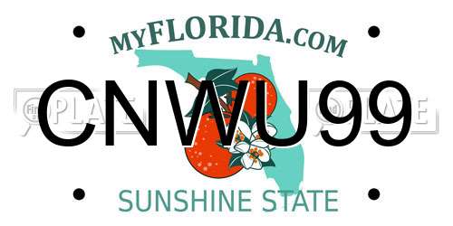 CNWU99 Florida License Plate