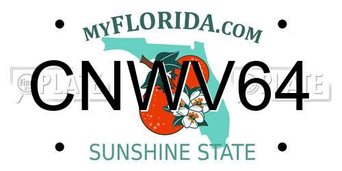 CNWV64 Florida License Plate