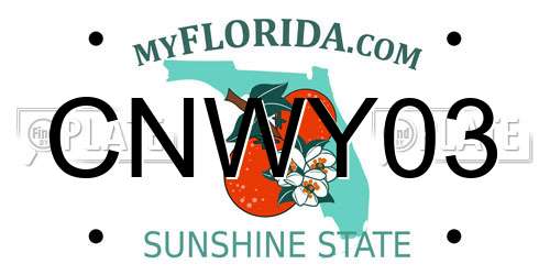 CNWY03 Florida License Plate