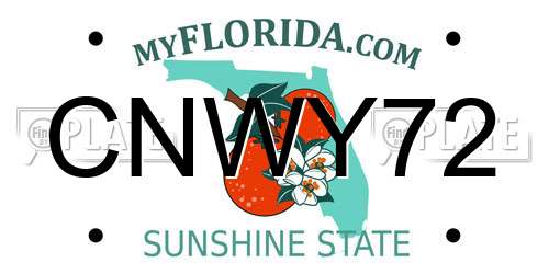 CNWY72 Florida License Plate
