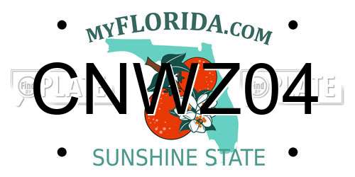 CNWZ04 Florida License Plate