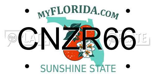 CNZR66 Florida License Plate