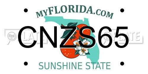 CNZS65 Florida License Plate