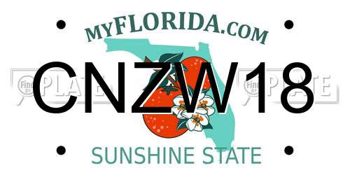 CNZW18 Florida License Plate