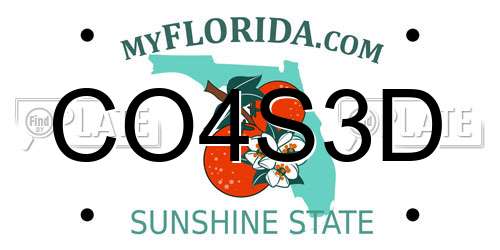 CO4S3D Florida License Plate