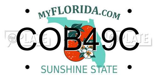 COB49C Florida License Plate