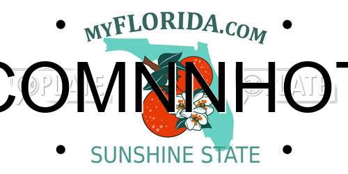 COMNNHOT Florida License Plate