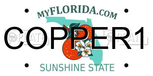 COPPER1 Florida License Plate