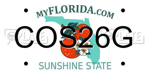 COS26G Florida License Plate