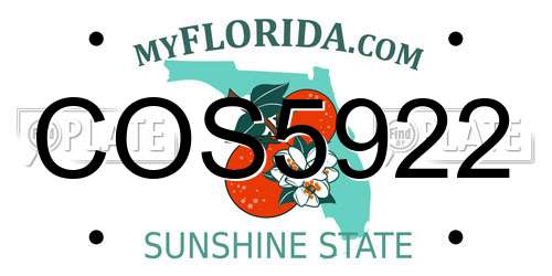 COS5922 Florida License Plate