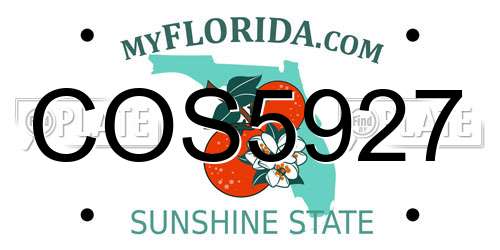 COS5927 Florida License Plate
