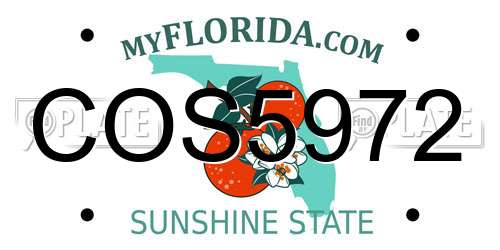 COS5972 Florida License Plate
