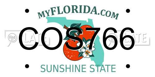 COS766 Florida License Plate