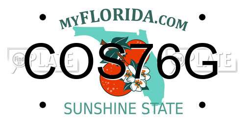 COS76G Florida License Plate