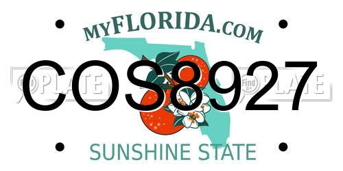 COS8927 Florida License Plate