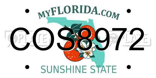 COS8972 Florida License Plate