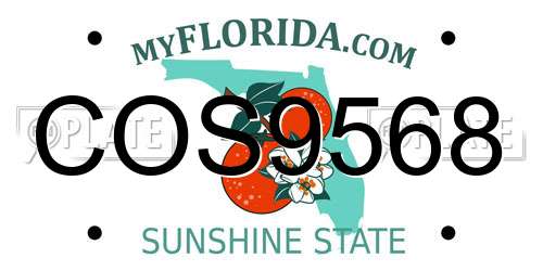 COS9568 Florida License Plate