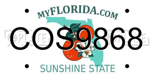 COS9868 Florida License Plate