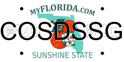 COSDSSG Florida License Plate