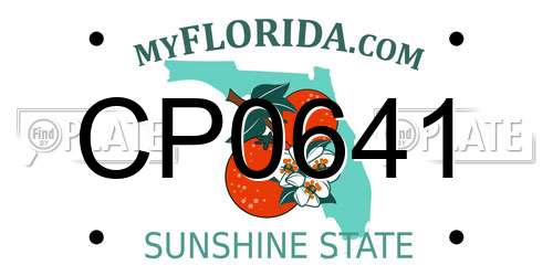 CP0641 Florida License Plate
