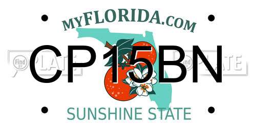 CP15BN Florida License Plate