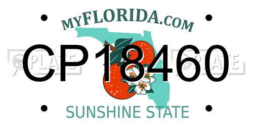 CP18460 Florida License Plate