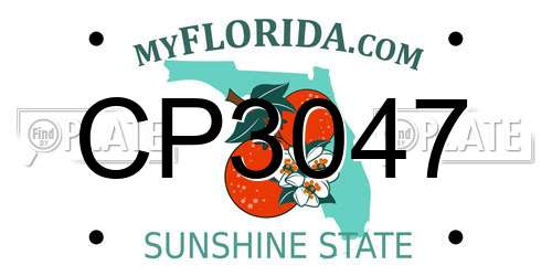 CP3047 Florida License Plate