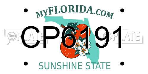 CP6191 Florida License Plate