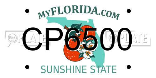CP6500 Florida License Plate