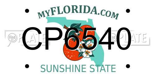 CP6540 Florida License Plate