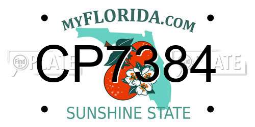 CP7384 Florida License Plate