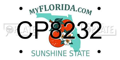 CP8232 Florida License Plate