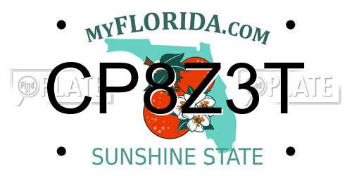 CP8Z3T Florida License Plate