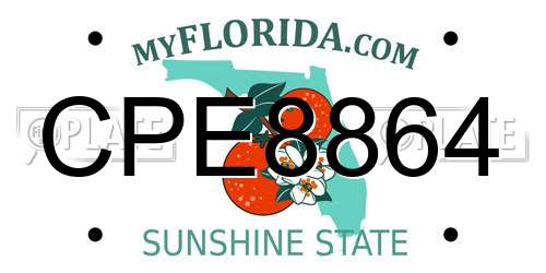 CPE8864 Florida License Plate