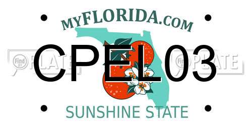 CPEL03 Florida License Plate