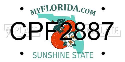 CPF2887 Florida License Plate