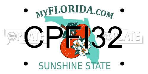 CPFI32 Florida License Plate