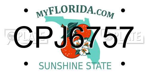 CPJ6757 Florida License Plate